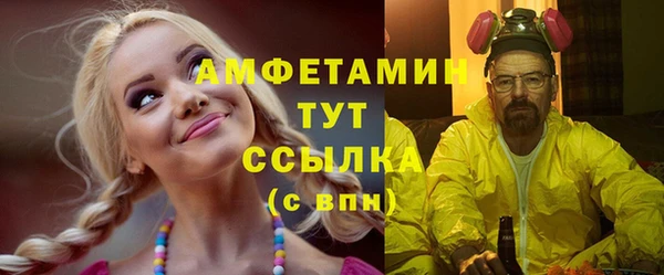 сатива Балахна
