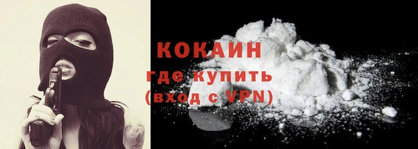 сатива Балахна