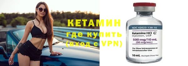 сатива Балахна