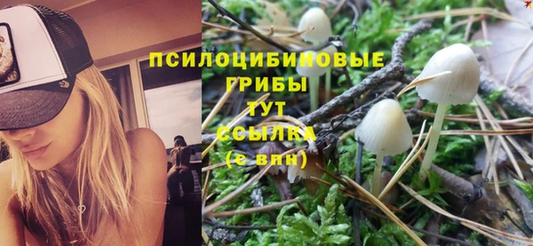 сатива Балахна
