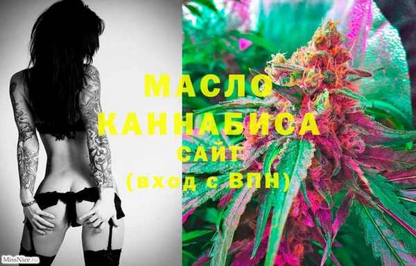 сатива Балахна